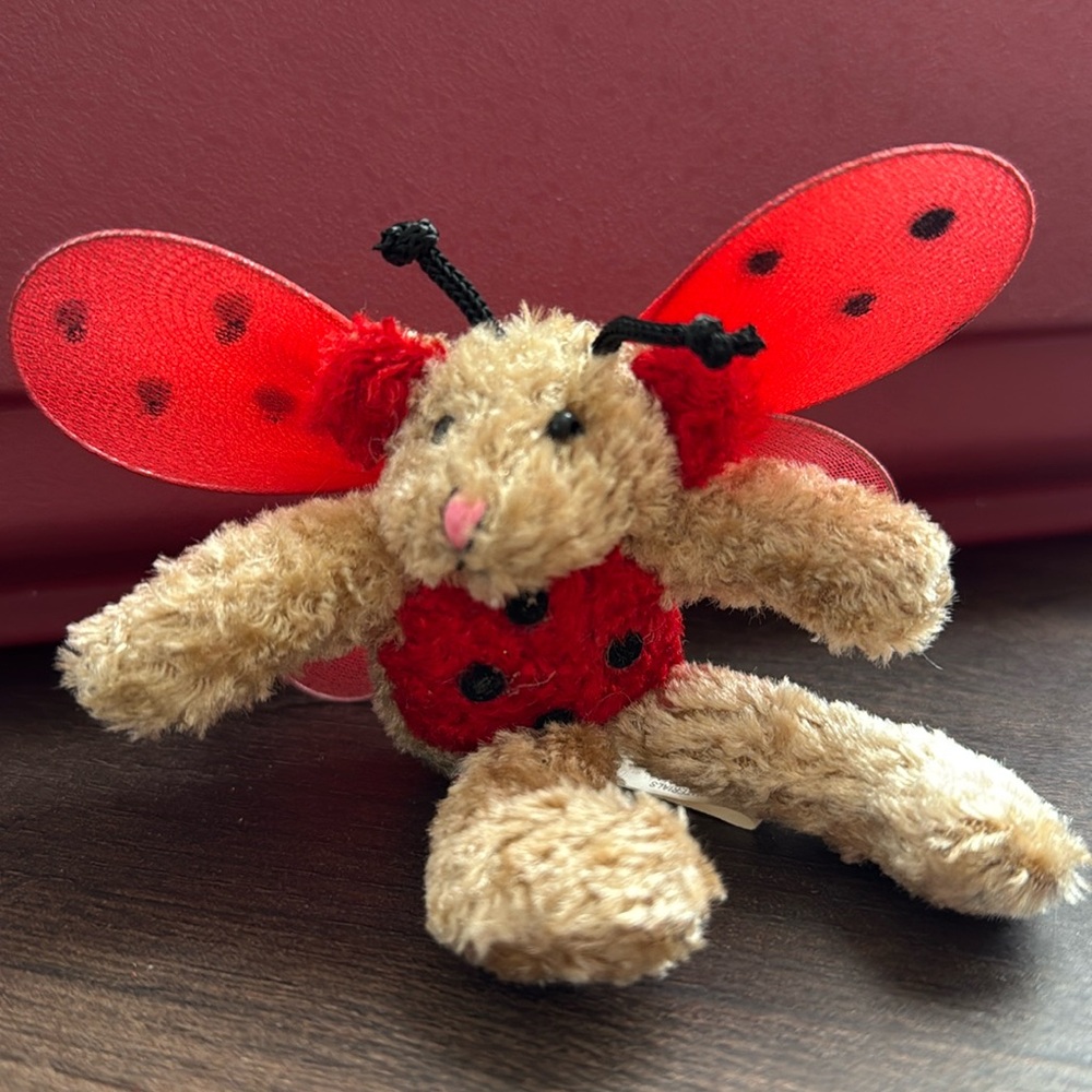 Lady bug teddy bear